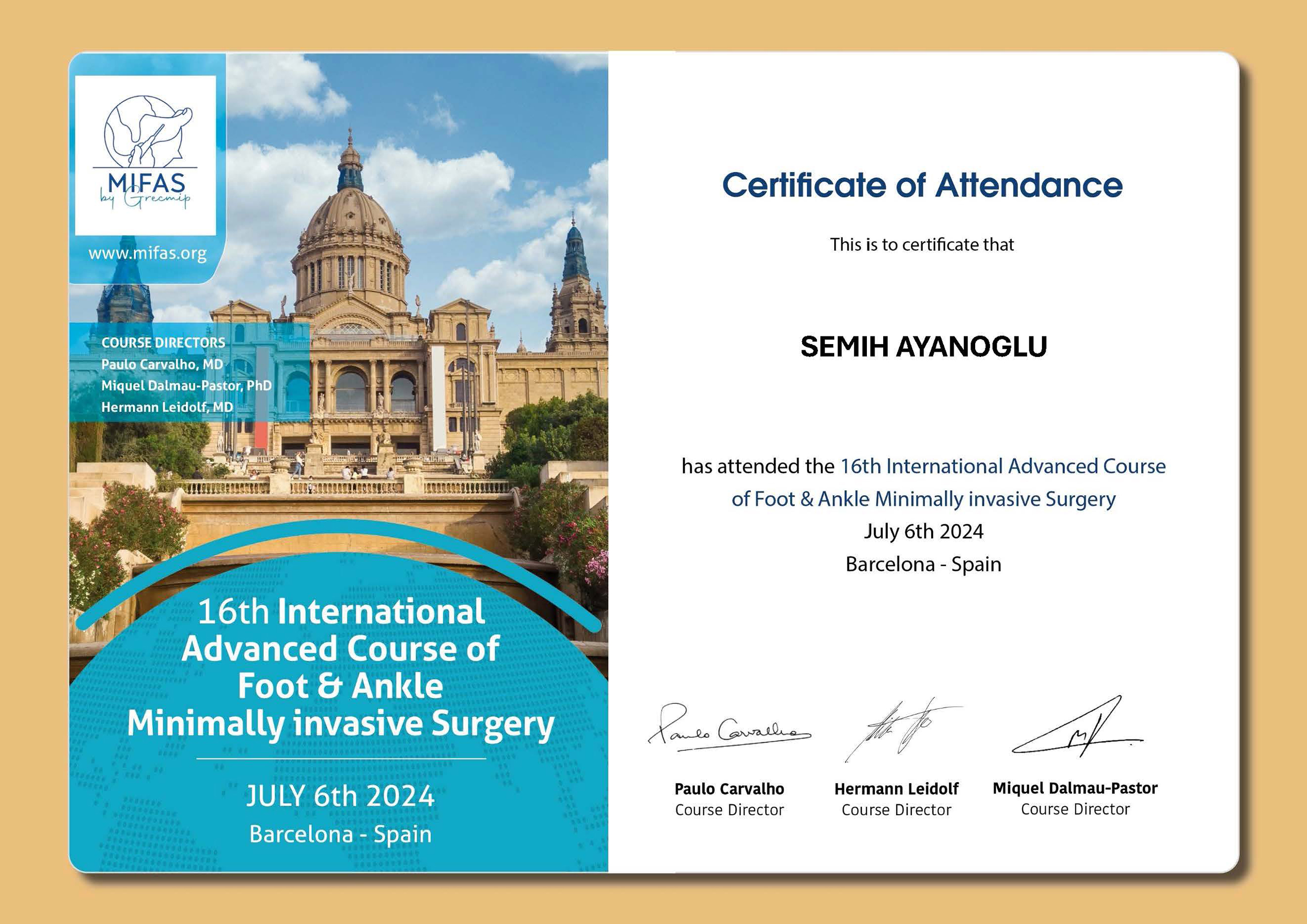 Сертификат о прохождении курса по хирургии стопы и голеностопного сустава, Барселона 2024.